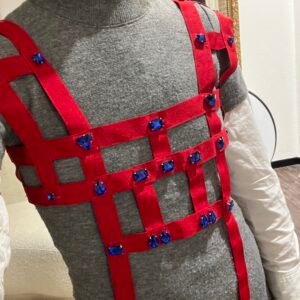 Harness with Jewels